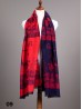 Trendy Paris Print Scarf/Cape